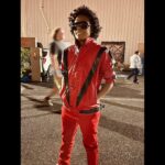 Premium Costume Jacket for Halloween, Cosplay Everyday wear Jacket